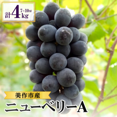 2026年先行受付 美作市産 ニューベリーA 約4kg(7~10房)【配送不可地域:離島・北海道・沖縄】【1477225】