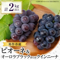 2026年先行受付　美作市産ピオーネ＆オーロラブラックまたはクイーンニーナ2kg以上【配送不可地域：離島・北海道・沖縄】【1294330】