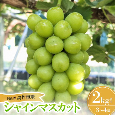 【2026年先行受付】岡山県美作市産 シャインマスカット 2kg【配送不可地域：離島】【1609174】