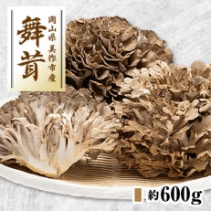 舞茸 約600g【配送不可地域:離島】【1154814】