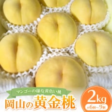 【先行予約・2026年8月上旬より発送予定】岡山県産・マンゴーの様な黄色い桃・黄金桃(2kg箱)【配送不可地域:離島】【1294300】