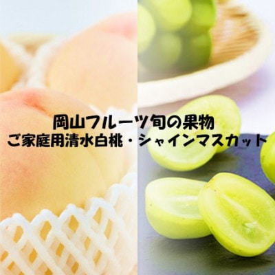 【発送月固定定期便】【ご家庭用】岡山旬のフルーツ 清水白桃とシャインマスカット全2回【配送不可地域：離島】【4069072】