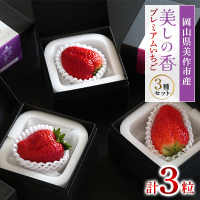 岡山県美作市産 プレミアムいちご【美しの香】1粒入 3種セット【配送不可地域:離島・北海道・沖縄】【1360736】