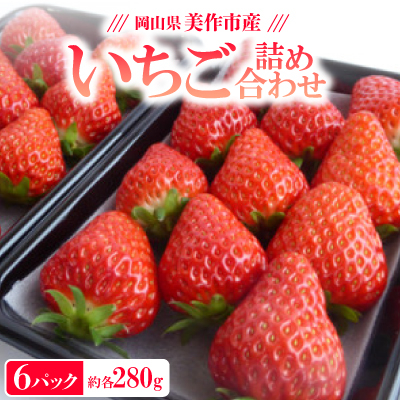 【2025年4月発送開始】岡山県美作市産 いちご詰合せ(約280g×6パック)【配送不可地域:離島・北海道・沖縄】【1454782】