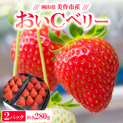 岡山県美作市産 おいCベリー(約280g×2パック)【配送不可地域:離島・北海道・沖縄】【1464410】
