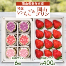 岡山県美作市産 特選いちご&岡山プリン詰合せ(いちご約400g、プリン6個)【配送不可地域:離島・北海道・沖縄】【1073698】