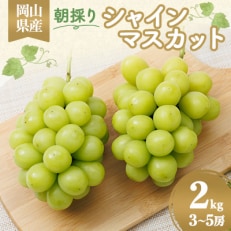 岡山県産　朝採りシャインマスカット　2kg【配送不可地域：離島】【1073053】