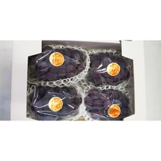 果汁たっぷりハウスピオーネ　2kg【配送不可地域：離島・北海道・沖縄】【1107019】