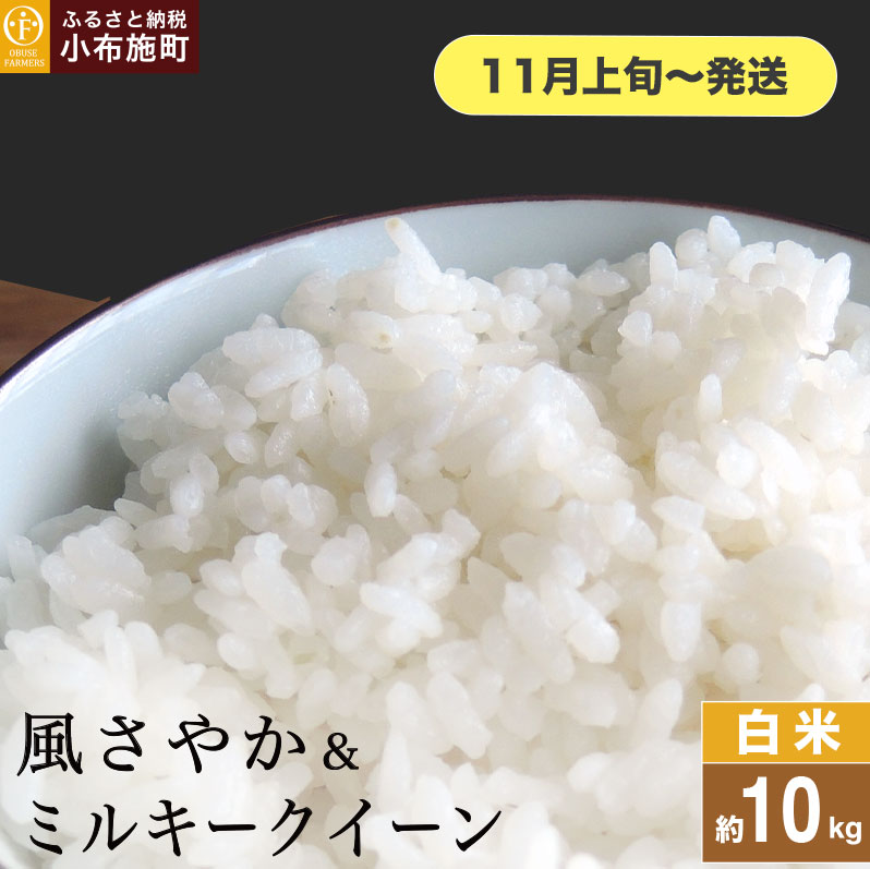 風さやか&ミルキークイーン 食べ比べ 約10kg [ おぶせファーマーズ ] お米 コメ おこめ ご飯 精米 長野県産 2種[2025年11月上旬〜発送]