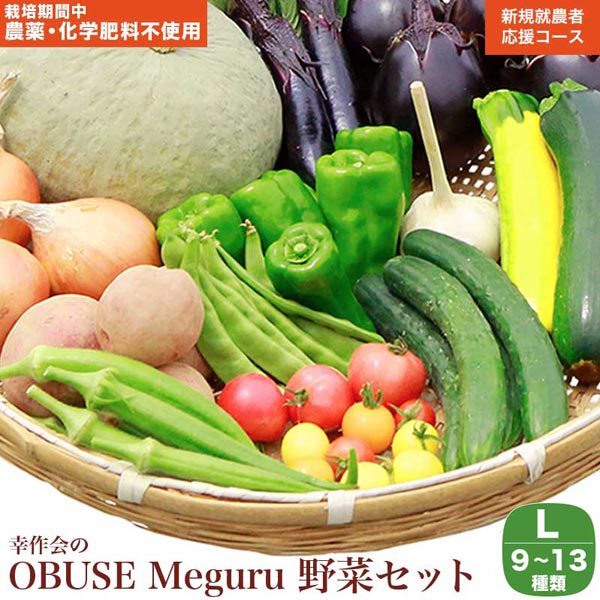 栽培期間中農薬・化学肥料不使用] OBUSE Meguru 野菜セット L 9-13種類 [新規就農者応援コース 幸作会] 野菜 詰め合わせ 詰合せ 農薬不使用 化学肥料不使用 おまかせ やさい 詰合せ お楽しみ 長野県産 令和6年産