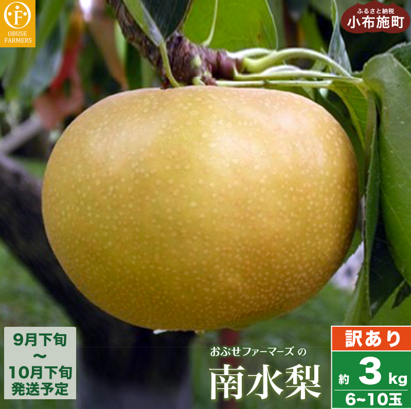 【訳あり】南水 約3kg 6～10玉 [おぶせファーマーズ] 梨 なし果物 フルーツ 果物 ワケアリ 傷 キズ 不揃い 規格外 家庭用 クール便 冷蔵便 長野 信州 先行予約 数量限定【2025年9月下旬～10月下旬発送 】