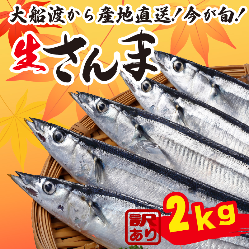 [2025年先行予約]訳ありさんま2kg ★2025年9月〜発送予定★ Sashimi FISH 魚 新鮮 ごはん 夕飯 おかず おつまみ 晩酌 米 丼 海産物 海鮮 魚介 魚介類 大船渡 三陸 岩手県 国産