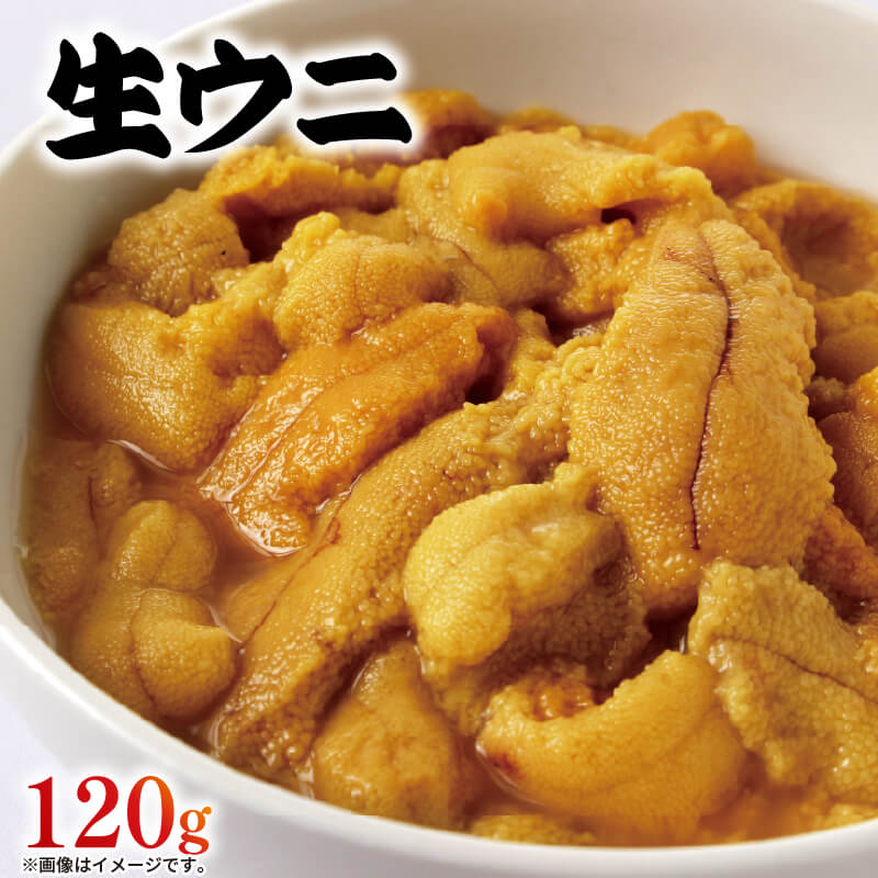 生ウニ 120g ミョウバン不使用 冷蔵 無添加 ムラサキウニ