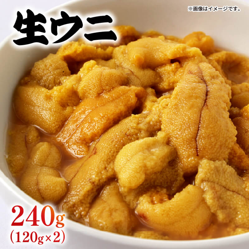 生ウニ 240g (120g×2) 冷蔵 無添加 ミョウバン不使用
