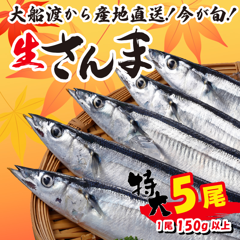 [予約受付]特大さんま 5尾 冷蔵 期間限定 [発送:2025年9月〜2025年11月下旬]