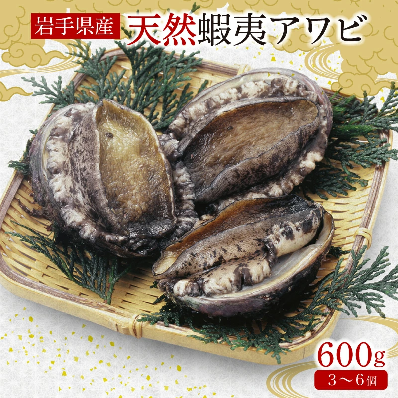 アワビ 約600g 三陸産 天然 冷凍 蝦夷アワビ 真空パック 小分け あわび 鮑 海鮮 バーベキュー 刺身 ステーキ 大船渡市 岩手県 20000円 2万円 ギフト 夏ギフト 冬ギフト お中元 御中元 御歳暮 お歳暮