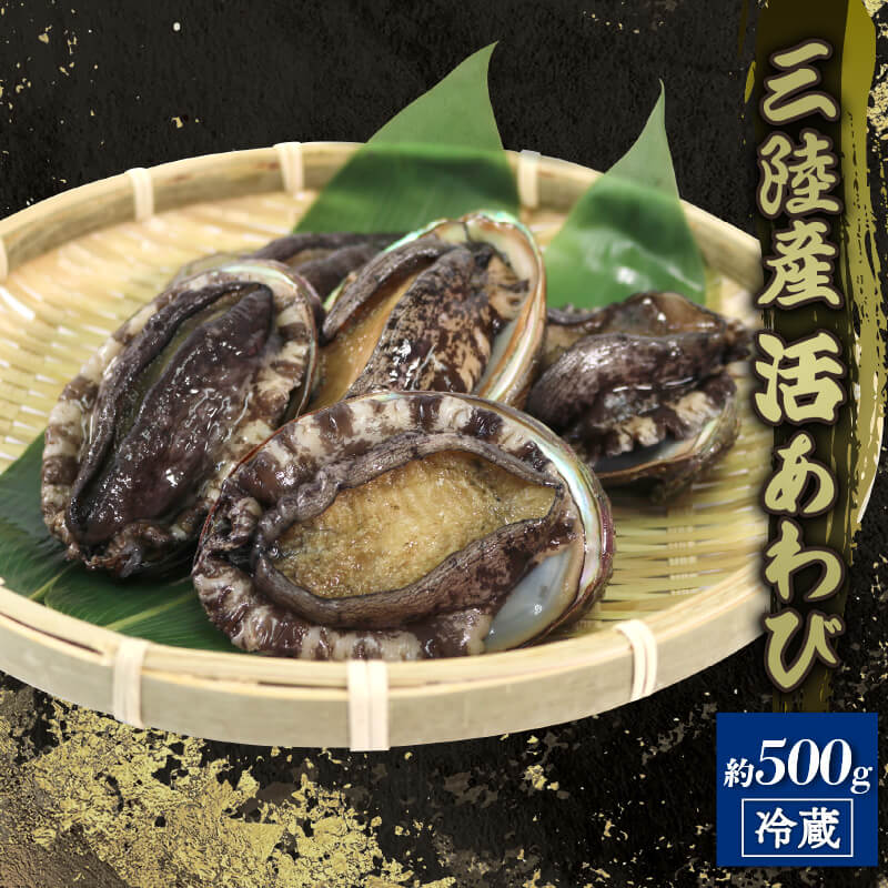 活エゾアワビ 約 500g 冷蔵 鮑 蝦夷あわび レシピ付き 剥きヘラ付き 蝦夷あわび 三陸産 鮑 あわび 刺し身 刺身 バーベキュー ステーキ バター焼き