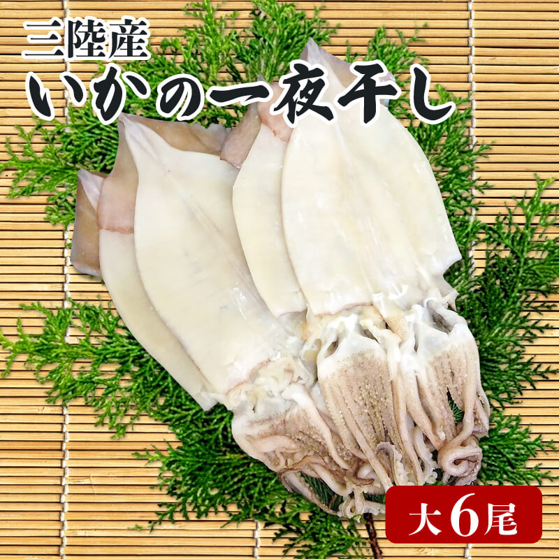 いか 一夜干し 大 6尾 イカ 烏賊 魚介類 三陸 冷凍 つまみ 釣り 丸干し 干物 おつまみ 父の日