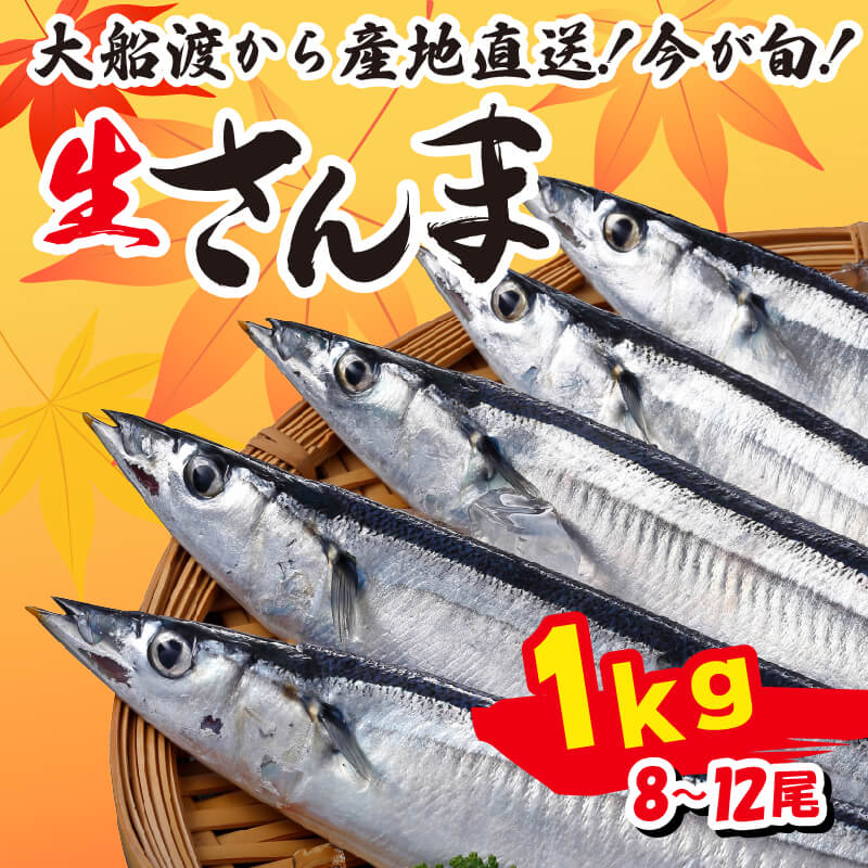 [先行予約受付] さんま 約1kg 8尾~12尾 冷蔵 鮮秋刀魚 [発送:2024年9月~2024年11月下旬] 三陸 岩手 大船渡市 サンマ 秋刀魚 生 1万円 10000円