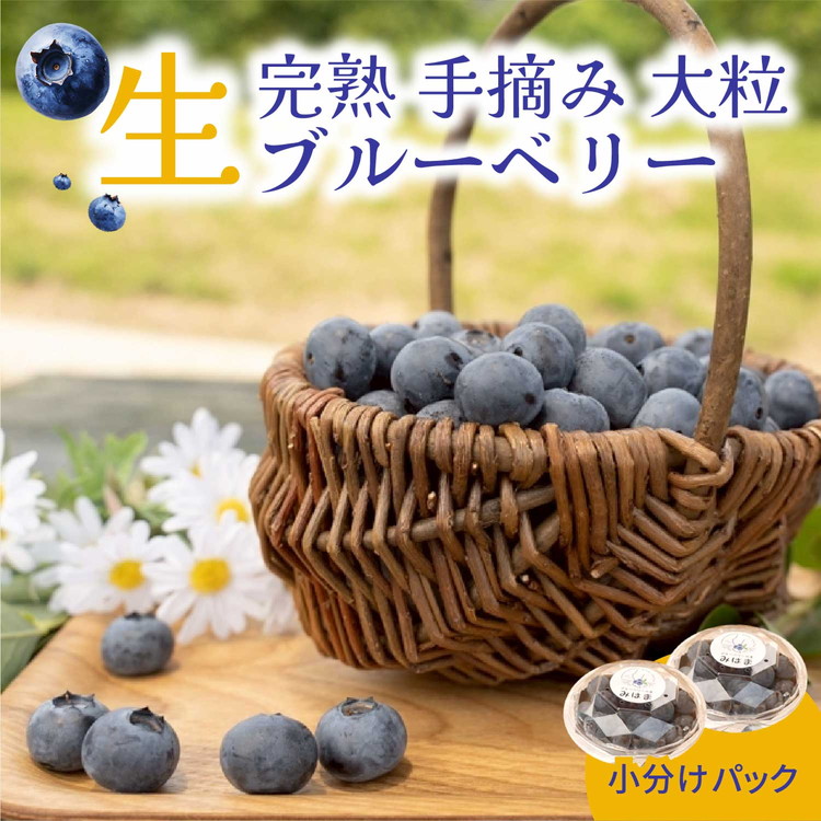 大粒ブルーベリー品種ミックス 500g×2パック 果物 くだもの フルーツ ヨーグルト ジャム 国産 愛知県産 ※2026年6月上旬~8月上旬頃に順次発送予定 ※北海道・沖縄・離島への配送不可