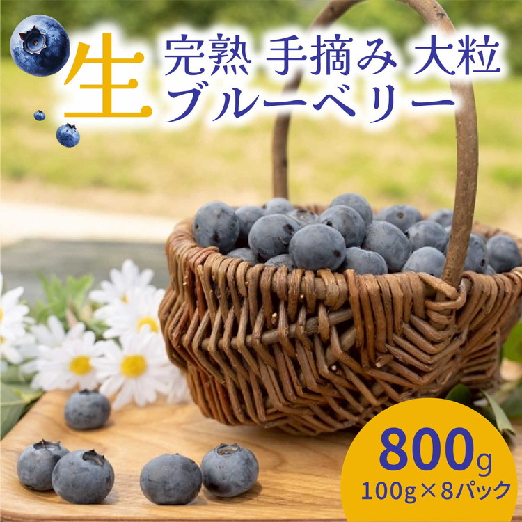 【先行受付予約】知多半島 生ブルーベリー 800g(100g×8パック) 完熟 果物 フルーツ 旬 農園直送 青果物 国産 健康 美容 愛知県 美浜町 ブルーベリーの里みはま 産地直送 ※2026年6月上旬~8月中旬に順次発送予定 送料無料 数量限定 期間限定 ※北海道・沖縄・離島への配送不可