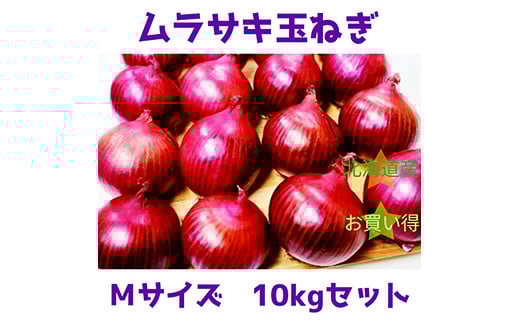 北海道岩見沢市産 紫玉ねぎMサイズ10kg【09116】[a107-026]