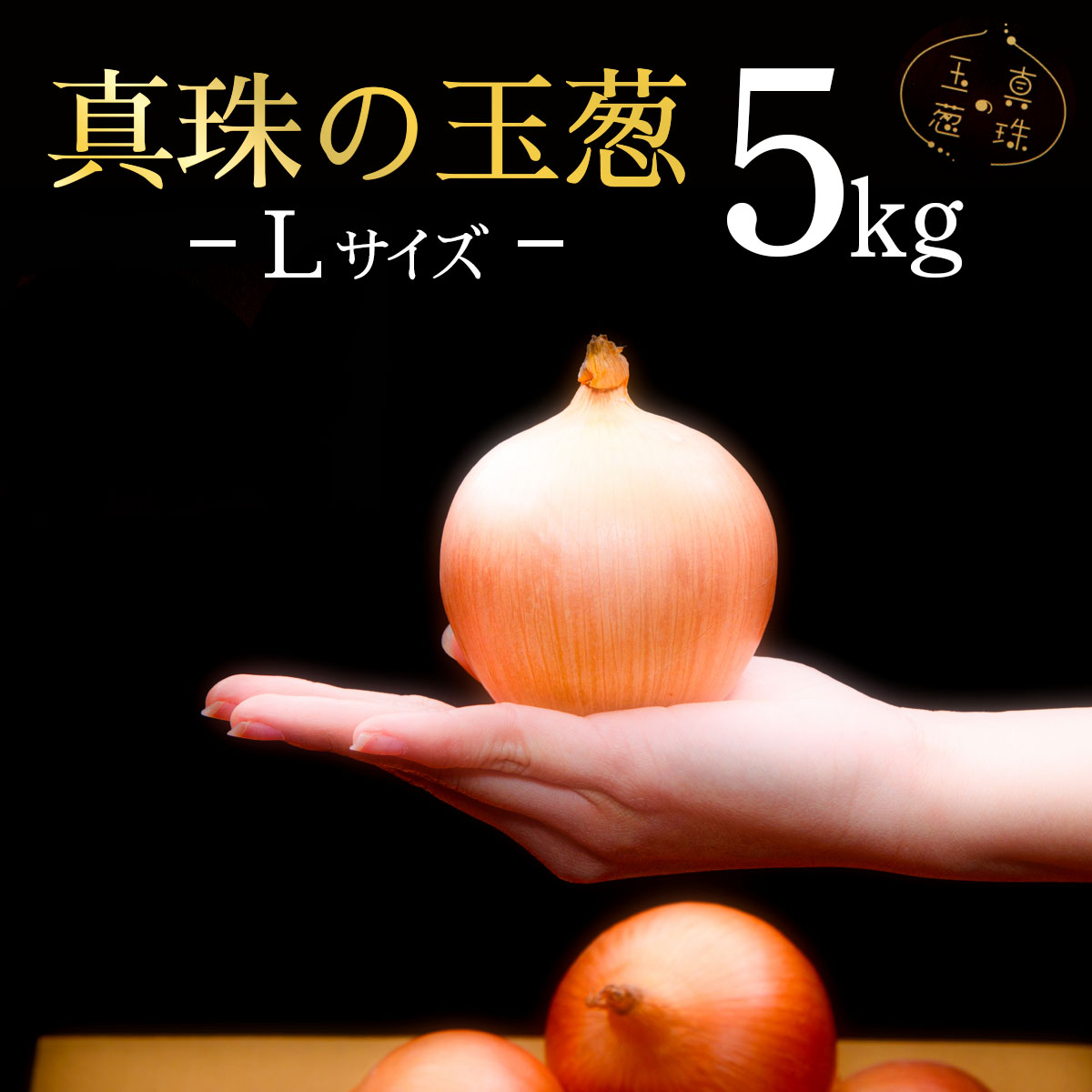 真珠の玉葱 Lサイズ5kg ≪海のミネラルで育てた玉葱≫【50103】[a134-003]