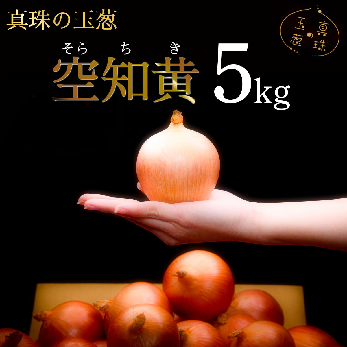 真珠の玉葱　空知黄 5kg ≪海のミネラルで育てた幻の玉葱空知黄≫【50105】[a134-005]