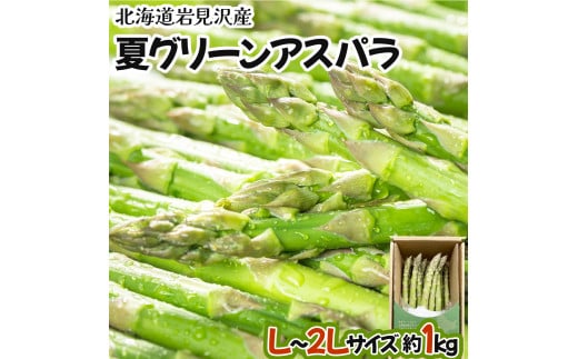 【先行予約/令和7年産】北海道岩見沢産　夏グリーンアスパラ　L~2Lサイズ 1kg【41104】[a129-002]
