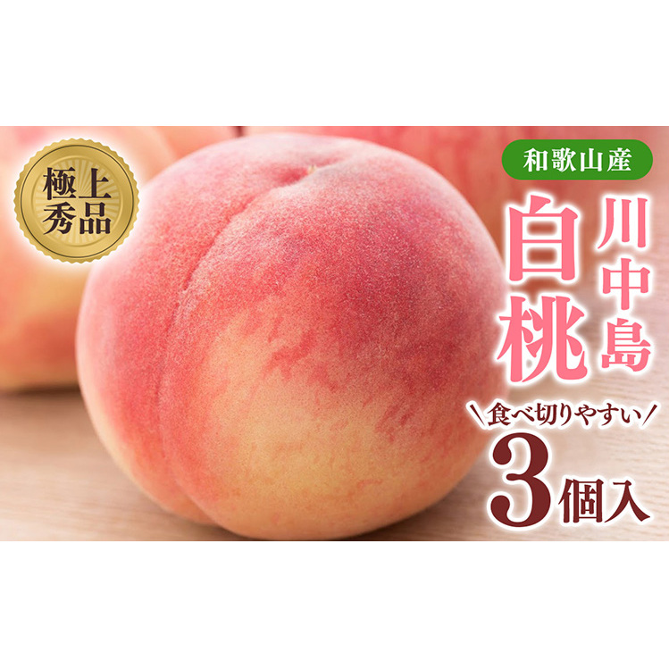 桃先行受付!　【川中島白桃】大玉特秀品　食べきりやすい3個入り　こだわり農家厳選!