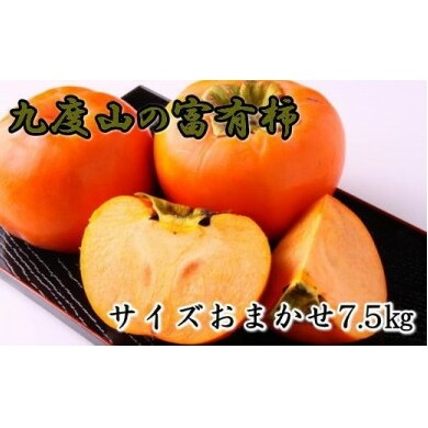 [柿の名産地]九度山の富有柿約7.5kgサイズおまかせ ※2025年11月上旬～12月上旬頃に順次発送予定