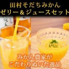 田村そだちみかんゼリー&ジュースセット
