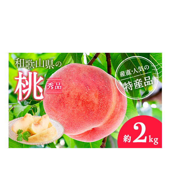 【産直・人気の特産品】和歌山の桃　約2kg・秀品◇ ｜ モモ 国産 フルーツ お取り寄せ ギフト