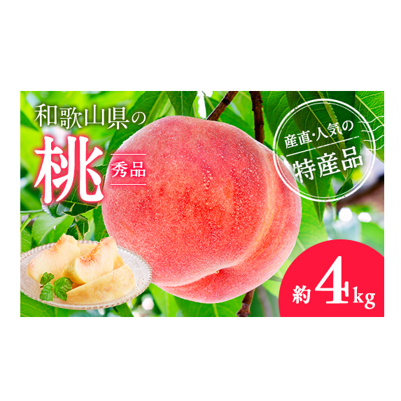 【産直・人気の特産品】和歌山の桃　約4kg・秀品 ｜ モモ 国産 フルーツ お取り寄せ ギフト