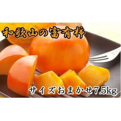 [甘柿の王様]和歌山産富有柿約7.5kgサイズおまかせ ※2025年11月上旬～12月上旬頃に順次発送予定