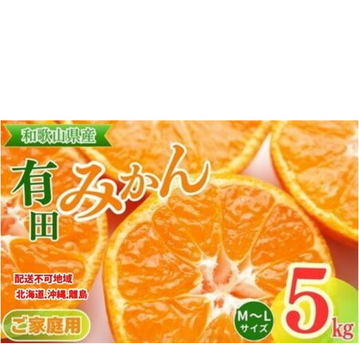【ご家庭用】和歌山有田みかん約5kg(M、Lサイズ)【美浜町】〇 ※北海道・沖縄・離島への配送不可 ※2025年11月上旬~2026年1月下旬頃に順次発送予定