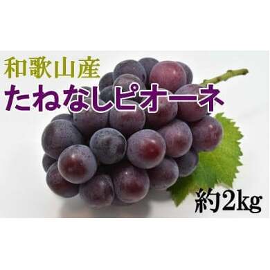【厳選・産直】和歌山県産たねなしピオーネ約2kg（目安：3房～5房）◇