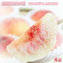 紀州和歌山産の桃 約1.8kg 化粧箱入 ◇｜ もも モモ 桃 国産 フルーツ 果物 果実 産地直送 お取り寄せ ギフト デザート スイーツ 贈り物 ※2026年6月下旬～8月上旬頃に順次発送予定