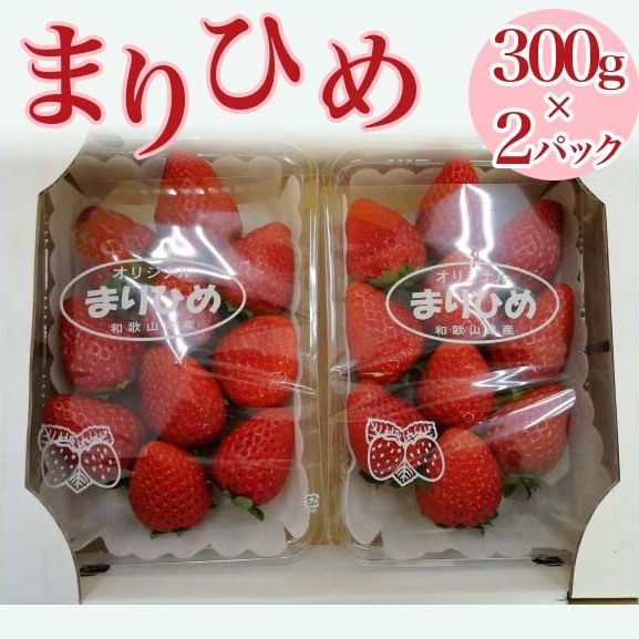 【2024年1月中旬～発送】「まりひめ」和歌山県オリジナルいちご　約300g×2パック入 ※北海道・沖縄・離島への配送不可