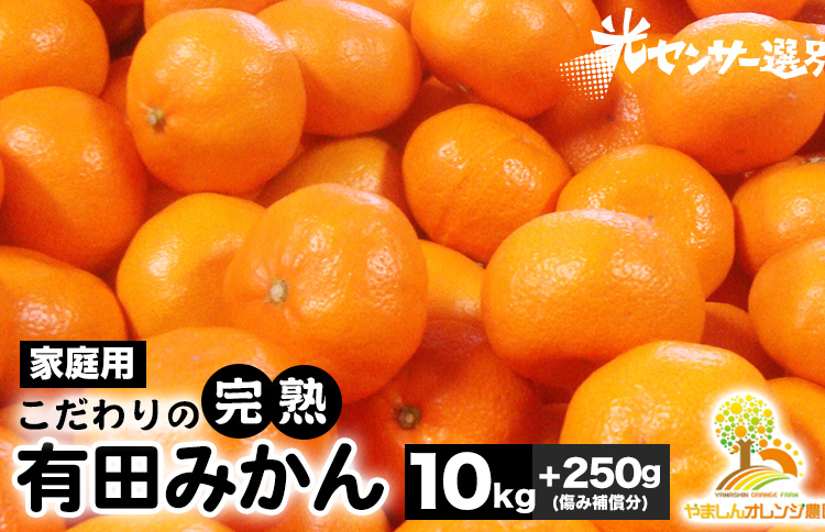 \光センサー選別/こだわりの完熟有田みかん 10kg+250g(傷み補償分) 【ご家庭用】サイズ混合 有機質肥料100%| ふるさと納税 みかん 〇※2025年11月中旬~2026年1月上旬頃に順次発送予定 ※北海道・沖縄・離島への配送不可