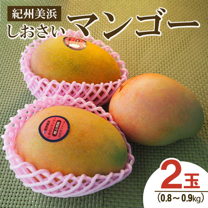 紀州美浜しおさいマンゴー2玉(0.8~0.9kg) ※離島への配送不可 ※2025年7月下旬~9月上旬頃に順次発送予定