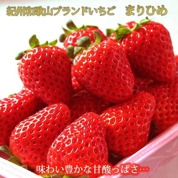 紀州和歌山ブランドいちご「まりひめ」約280g×2P ※2026年1月上旬〜3月上旬頃に順次発送予定