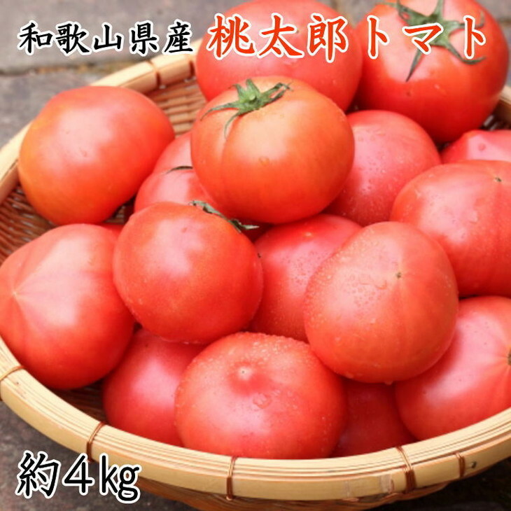 【新鮮】和歌山県産桃太郎トマト約4kg(L~2Lサイズおまかせ) ※北海道・沖縄・離島への配送不可 ※2024年6月上旬~7月中旬頃に順次発送予定
