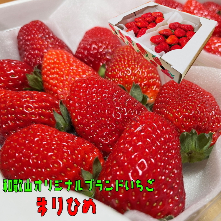 【和歌山ブランド苺】完熟まりひめいちご　2パック【2024年1月下旬～3月下旬発送予定】(A-02) ※着日指定不可 ※北海道・沖縄・離島への配送不可