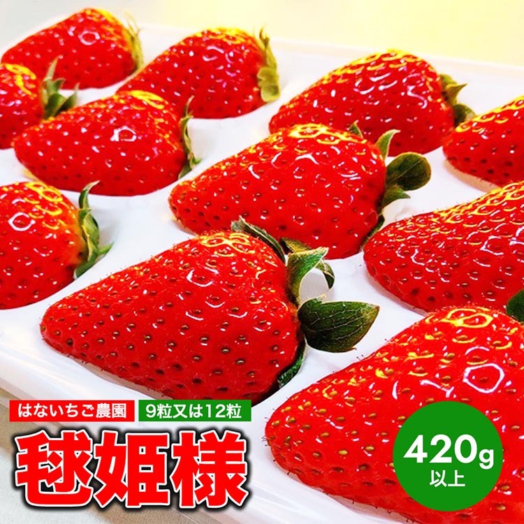 はないちご農園「毬姫様」9粒または12粒 ※着日指定不可 ※北海道・沖縄・離島への配送不可 ※2025年1月上旬～2月下旬頃に順次発送予定