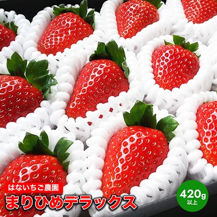 はないちご農園「まりひめデラックス」 ※着日指定不可 ※北海道・沖縄・離島への配送不可 ※2025年1月上旬～4月中旬頃に順次発送予定