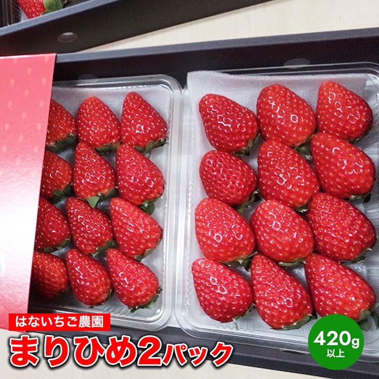 はないちご農園「まりひめ2パック」 ※着日指定不可 ※北海道・沖縄・離島への配送不可 ※2025年1月上旬～4月中旬頃に順次発送予定