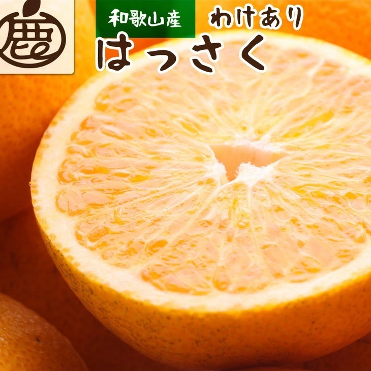 <1月より発送>家庭用 はっさく2.5kg+250g(傷み補償分) | 八朔みかん わけあり 訳あり ワケアリ ※2026年1月上旬~3月下旬頃に順次発送予定 ※北海道・沖縄・離島への配送不可 ◇