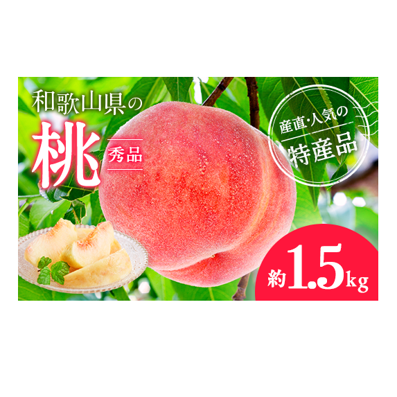 【産直・人気の特産品】和歌山の桃 約1.5kg