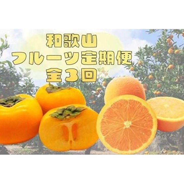 〈定期便〉【10・11・12月 全3回】和歌山人気のフルーツ定期便（柿・みかん）【魚鶴厳選】